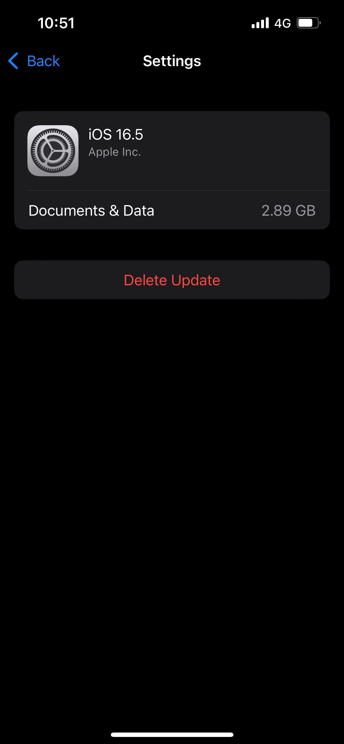 iPhone Settings Delete Update