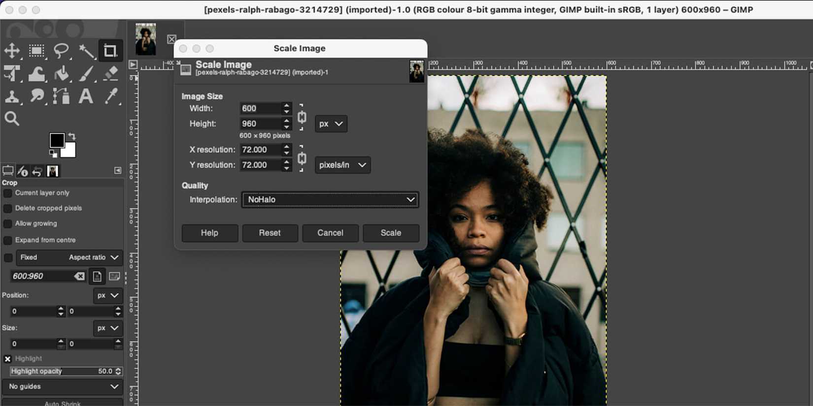 процесс масштабирования изображения в GIMP с выбором интерполяции NoHalo
