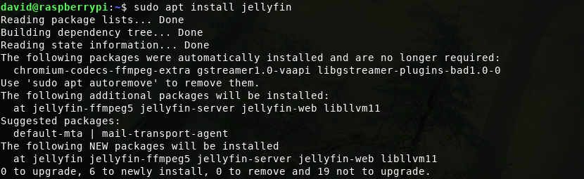 Терминал Linux с белым текстом на чёрном фоне