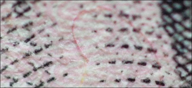 Комбинация удлинителя + 50 мм + 28 мм сверху для экстремального макро