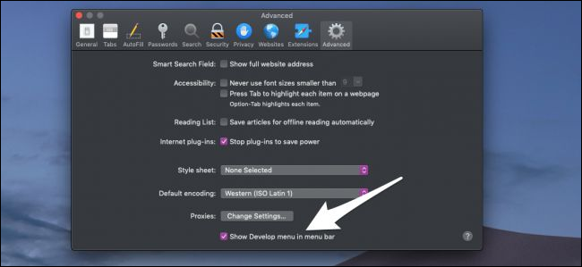 Вкладка 'Advanced' с опцией 'Show Develop Menu in Menu Bar'