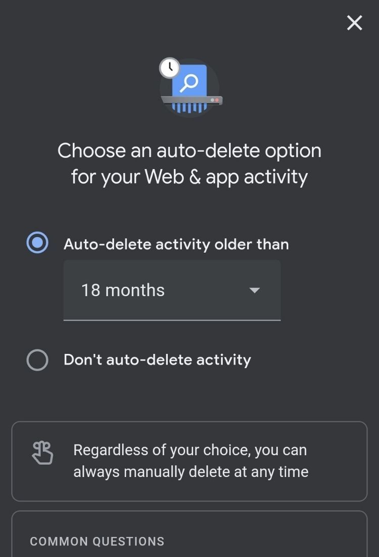 Google Home Auto Delete