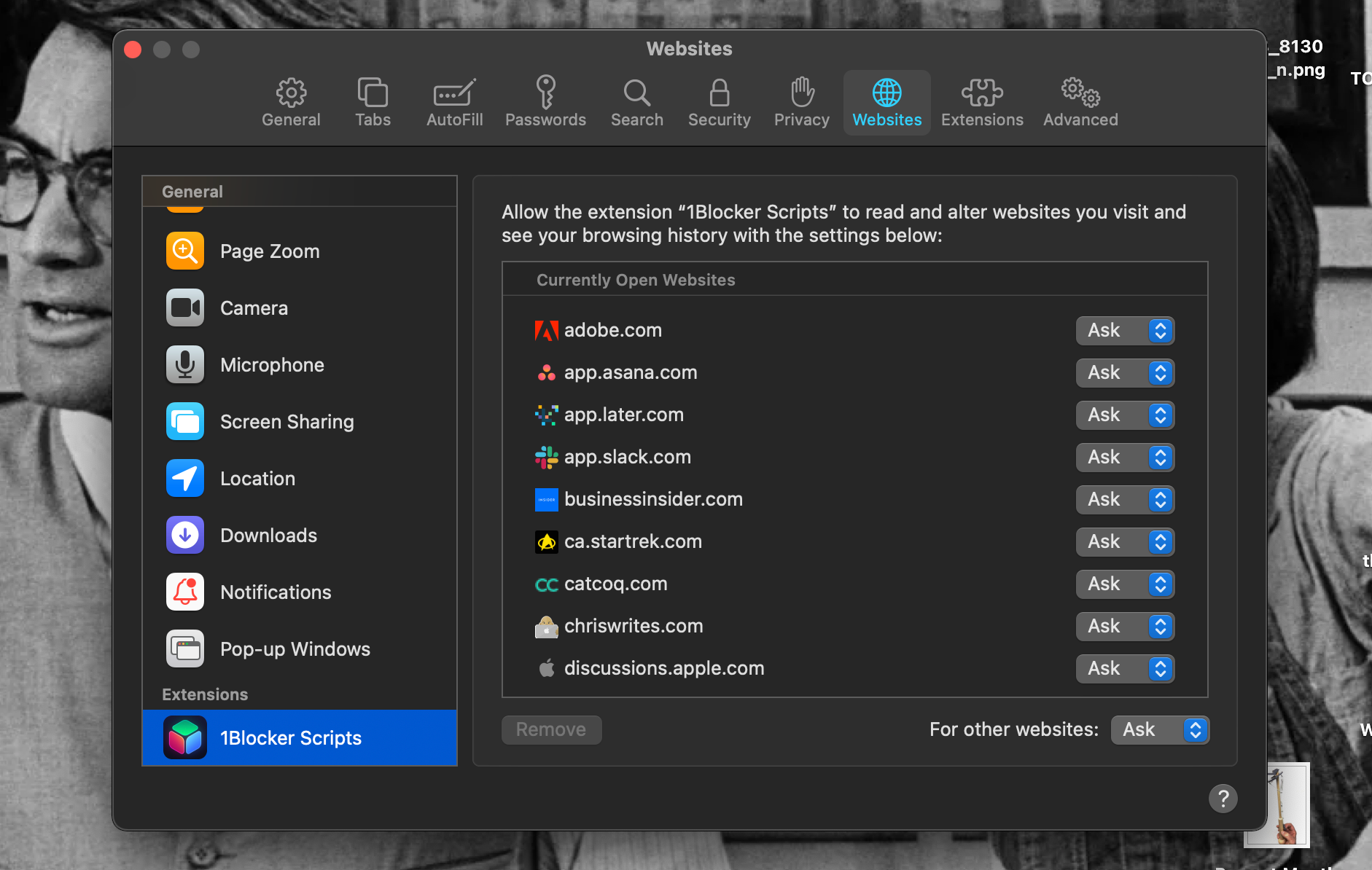 Вкладка Веб‑сайты настроек Safari с видимыми заголовками расширений