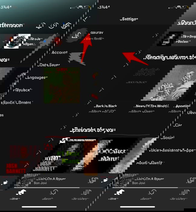 Настройки аккаунта в мобильном приложении Spotify