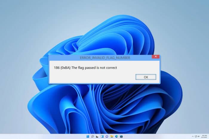 Исправить Error_Invalid_Flag_Number в Windows