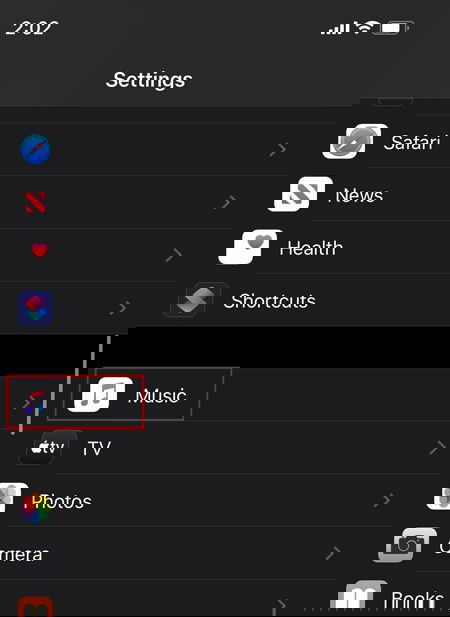 Экран настроек iOS — раздел «Музыка»