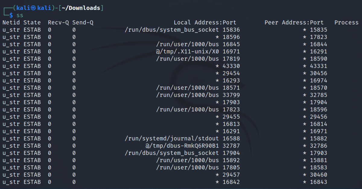 Вывод ss без опций: только установленные соединения