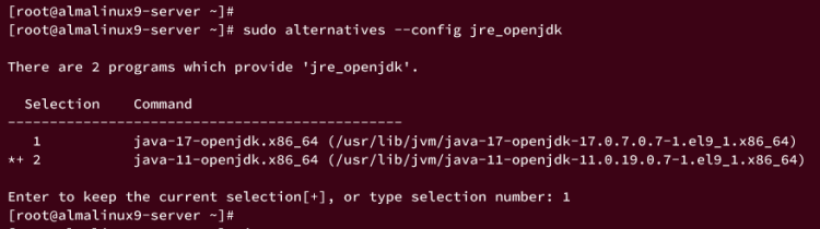 Переключение JRE OpenJDK
