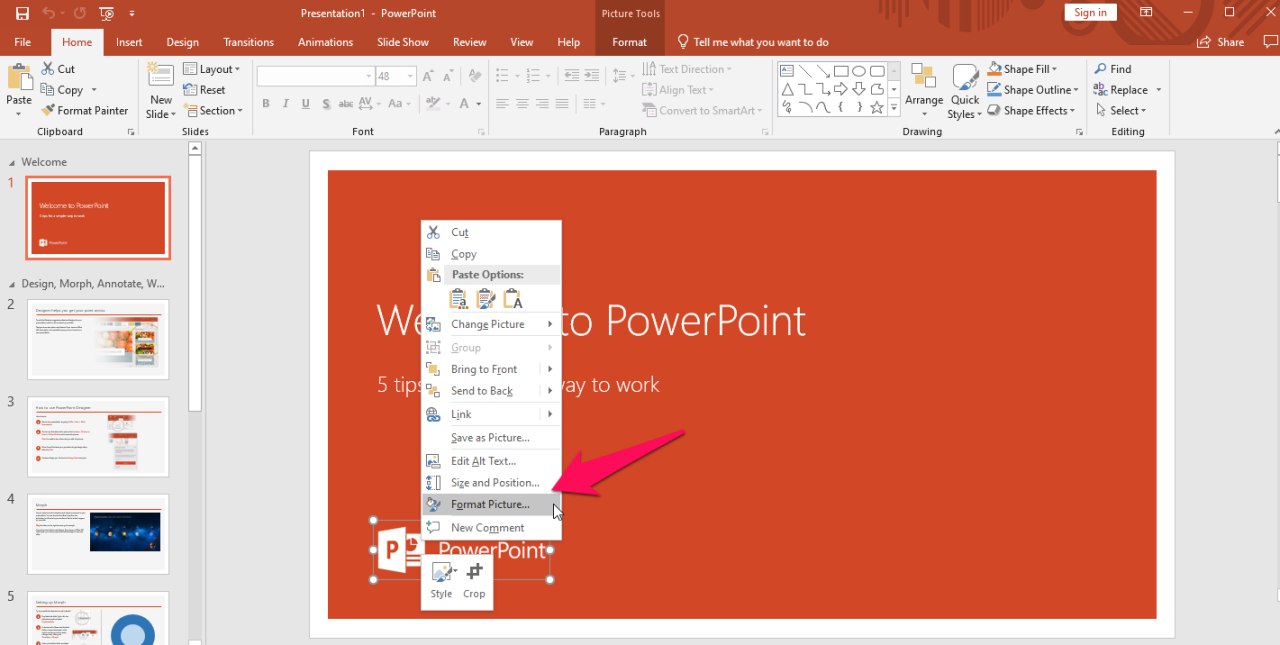 Panel Formato de imagen en PowerPoint