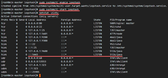 Logstash запущен на порту 5443 с SSL