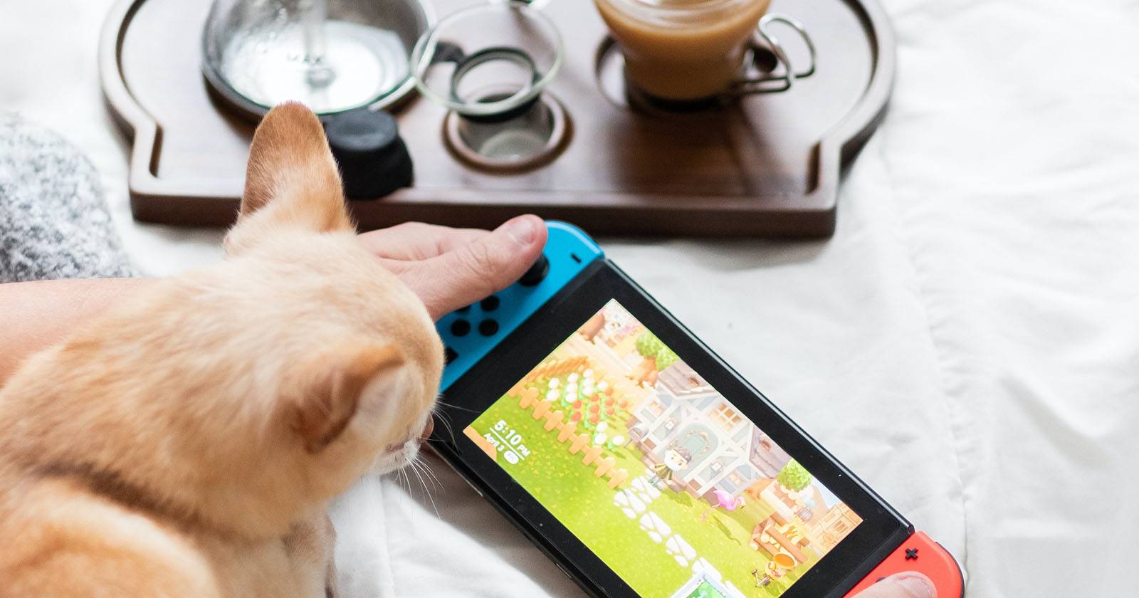 Nintendo Switch рядом с котом