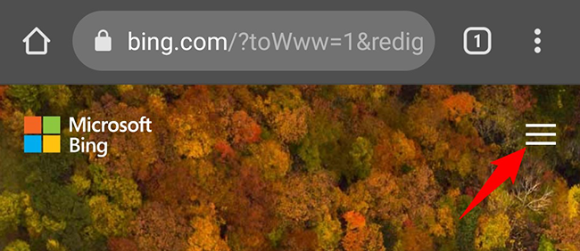 Три горизонтальные линии в правом верхнем углу Bing на мобильном