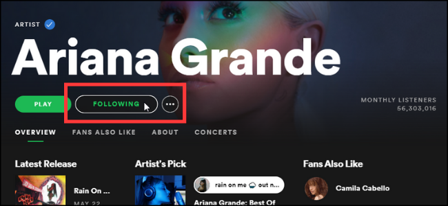 Сохранение исполнителя в Spotify