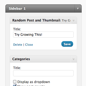 Виджет WordPress: случайная запись с миниатюрой