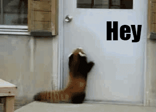 Анимированный GIF с наложенным текстом (пример)