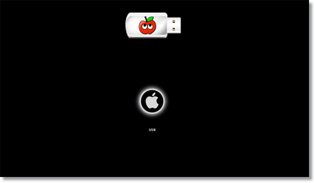 Пример разметки в Disk Utility, три раздела: macOS, Empty, Windows