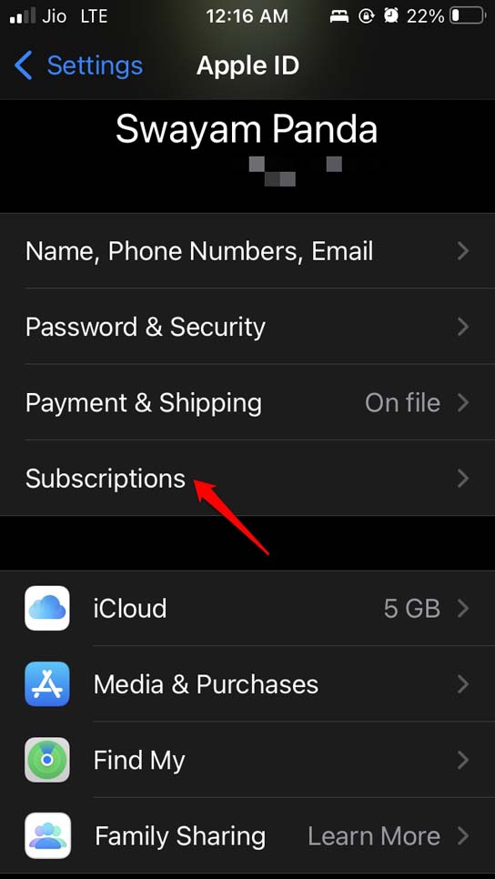 Экран iOS: раздел Подписки в Apple ID