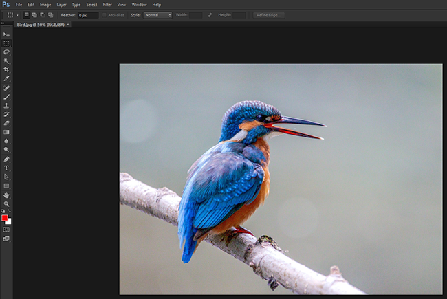 Фото в основном интерфейсе Photoshop