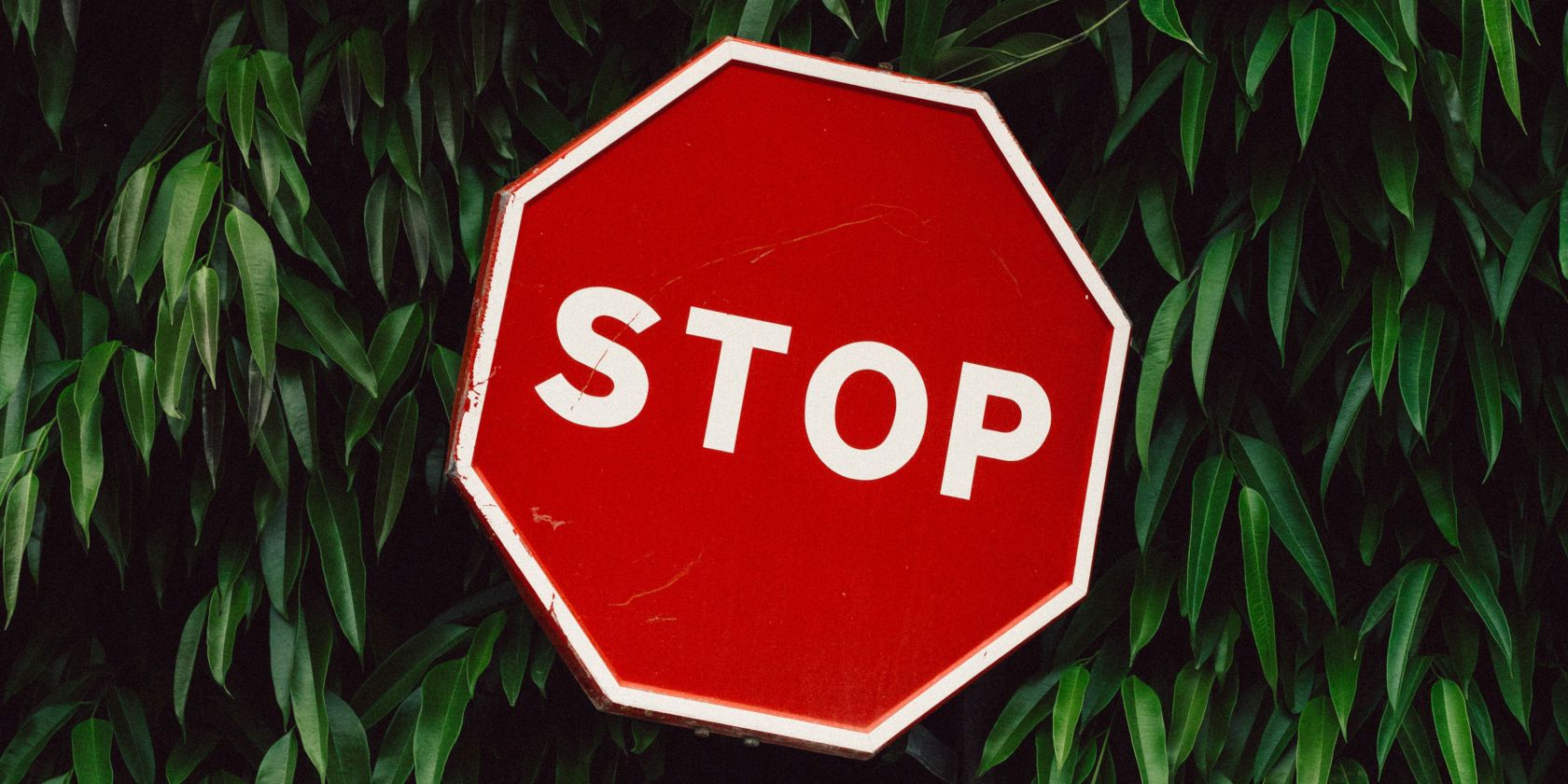 Уведомление о нарушении авторских прав: что делать