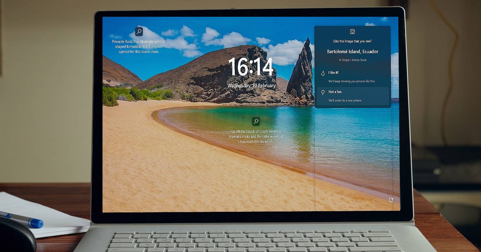 Windows Spotlight на рабочем столе — пример изображения