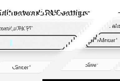 Microsoft Store Not Working Edit Network Dns Manual