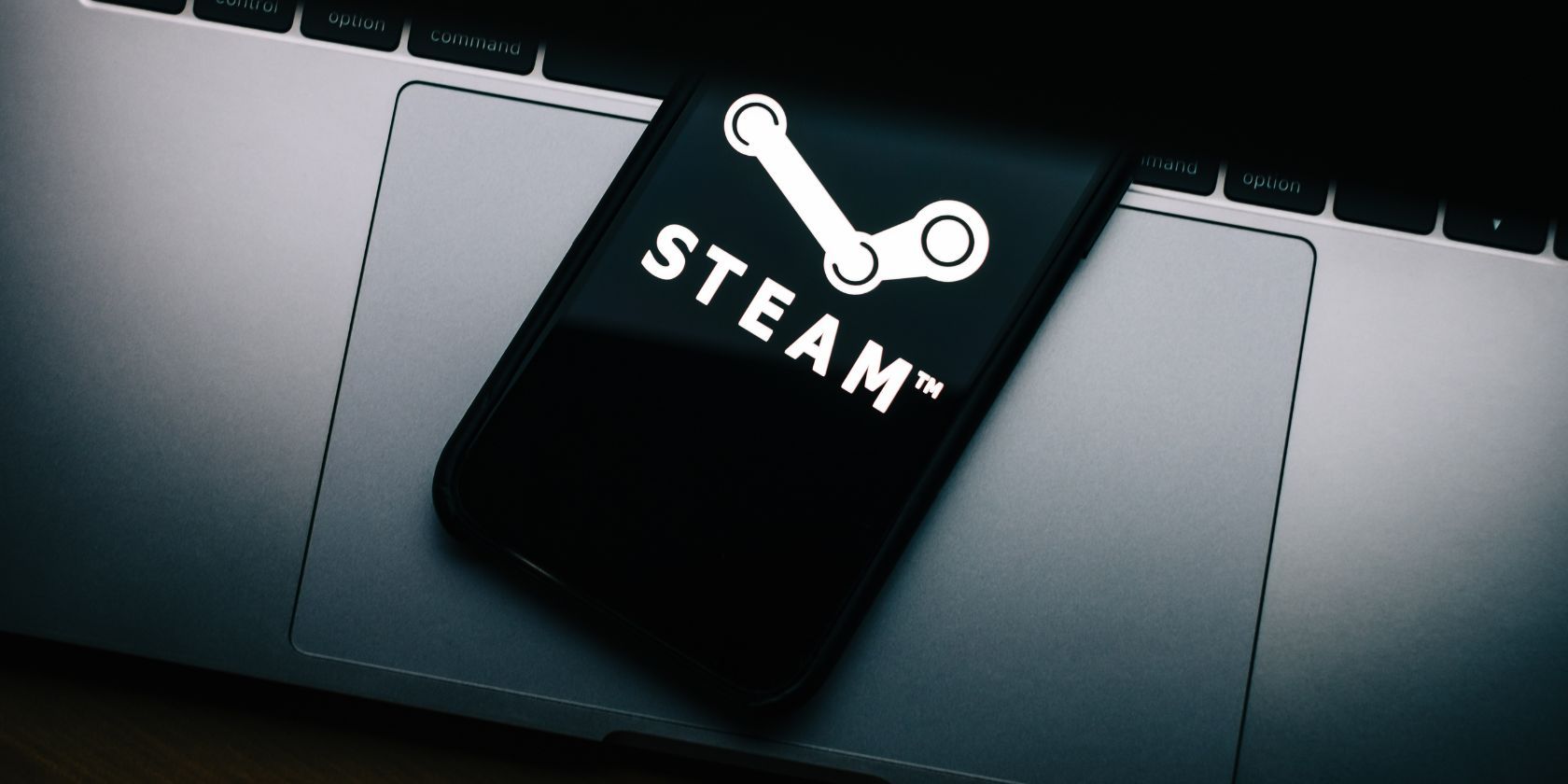 Как подарить игру в Steam — подробный русский гид