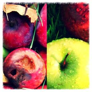 Портрет подделки iPhone 5 со стороны фронтальной панели