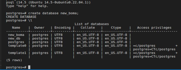 Скриншот: недавно созданная база данных