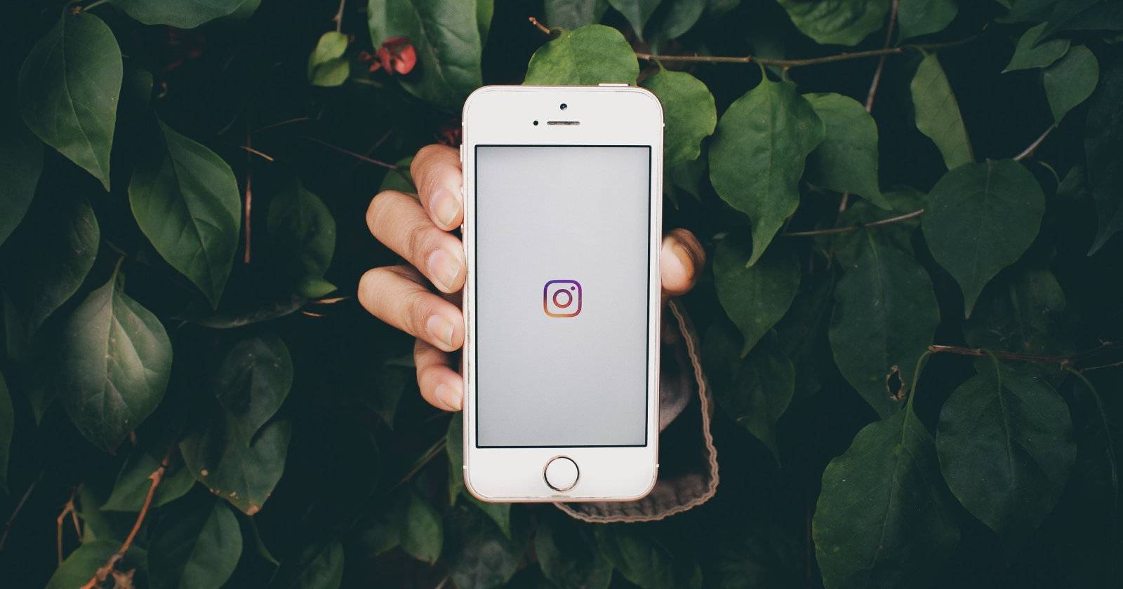 Рука человека выглядывает из куста, держа телефон с логотипом Instagram
