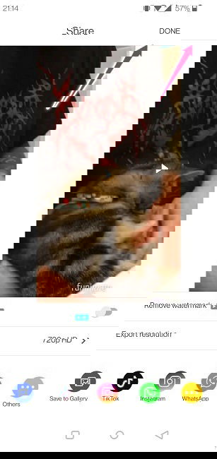 Готовый клип в Funimate — сохранить или поделиться