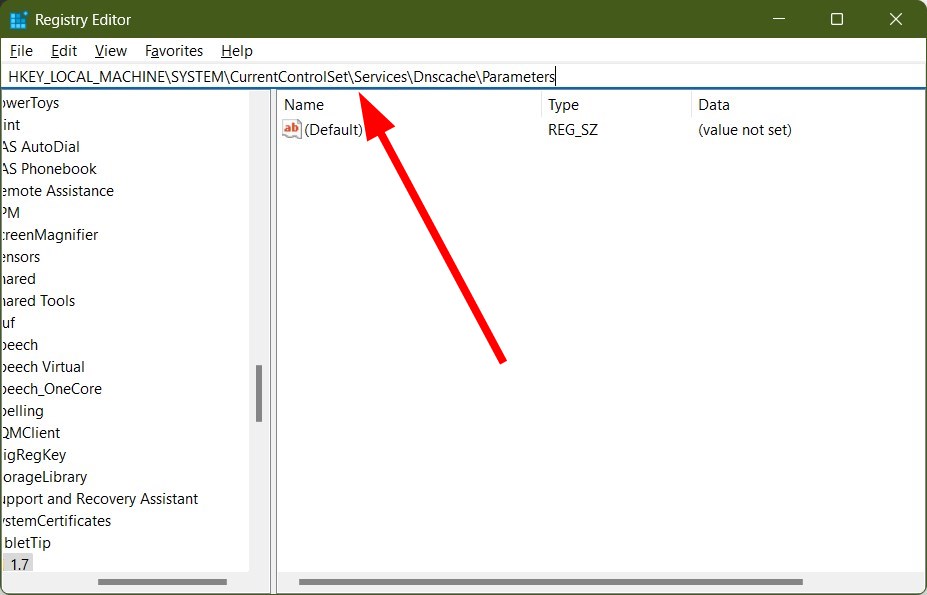 Папки реестра с отмеченным разделом Dnscache