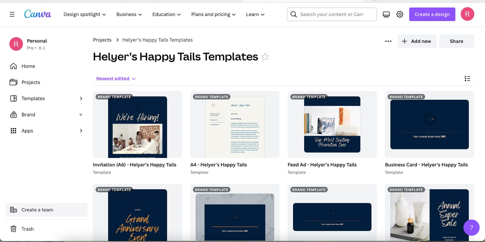 Canva branded projects templates Брендированные проекты в Canva