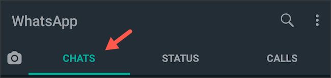 Исчезающие сообщения в WhatsApp: как включить