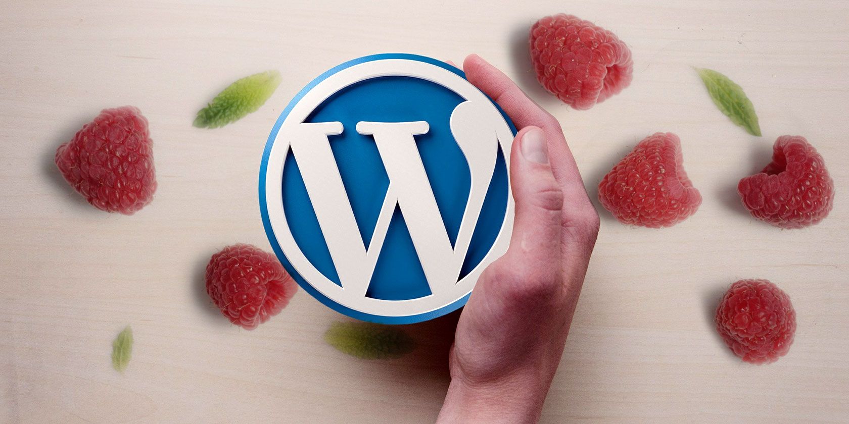 WordPress на Raspberry Pi — установка и настройка