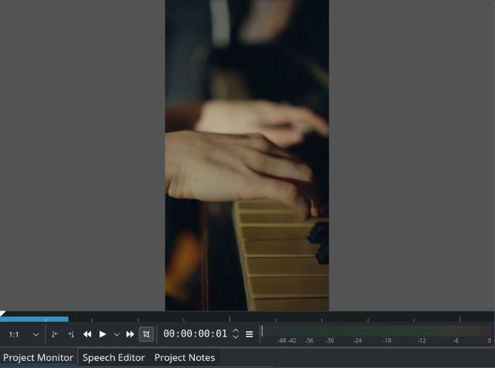 Таймлайн с серыми полями в мониторе превью