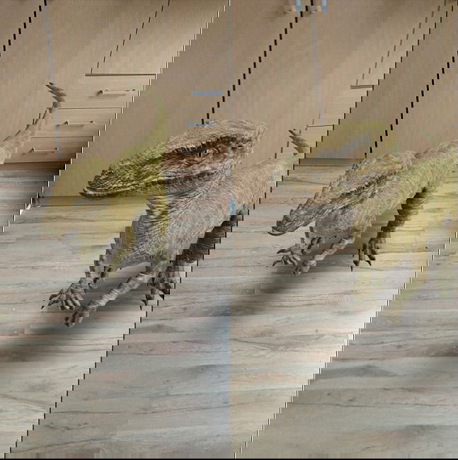 Динозавр в вашей комнате: пример масштабирования и позиционирования