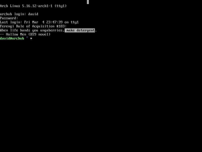 Текстовая консоль Linux с выделением текста мышью