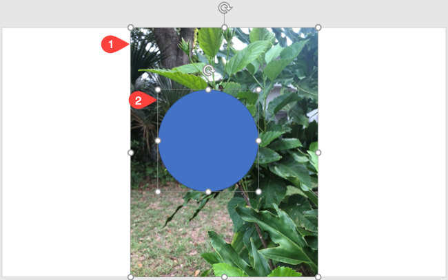 Выделены картинка и фигура