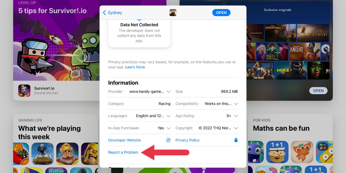 Кнопка «Report a Problem» в информации о покупке
