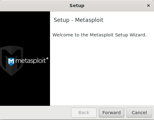 Стартовая страница инсталлятора Metasploit