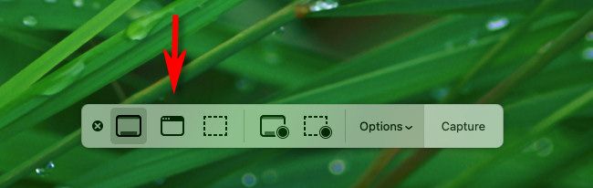 В панели Mac для скриншотов нажмите кнопку Capture Selected Window (второй слева).