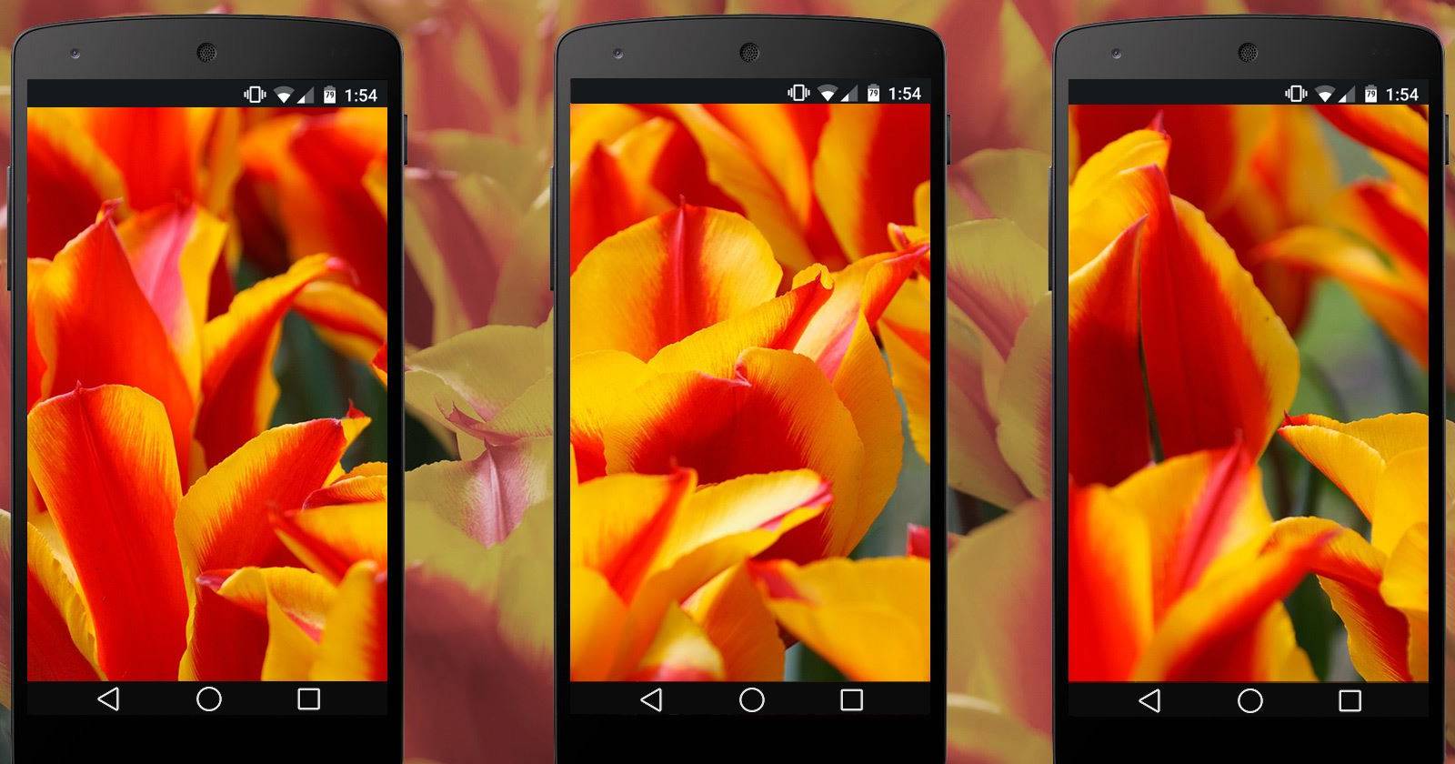 Кастомные обои Android с FreshCoat