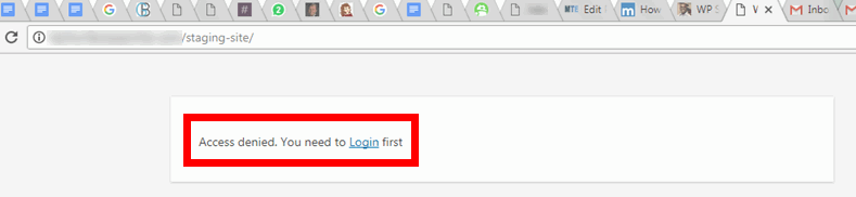 Страница входа на клон‑сайт — форма логина