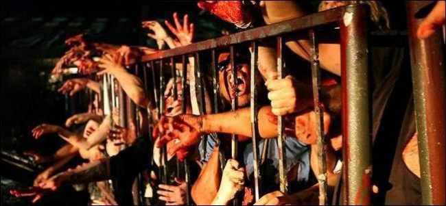 Survivre à une apocalypse zombie avec votre iPhone