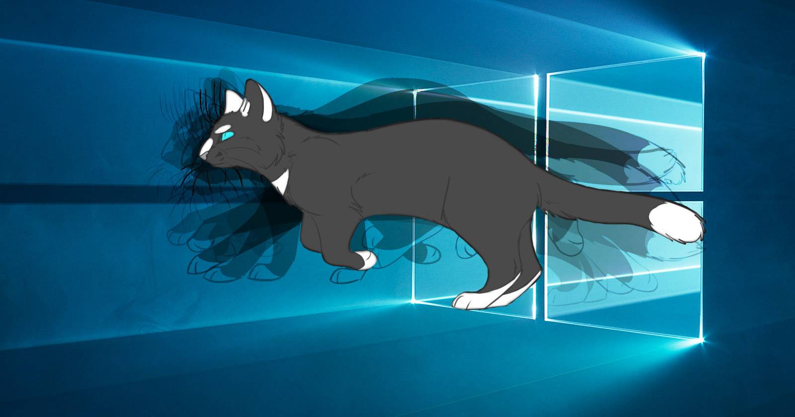 Анимированный GIF, используемый как обои на рабочем столе