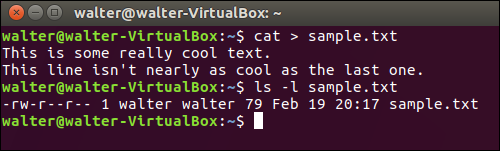 Просмотр свойств файла в терминале Linux