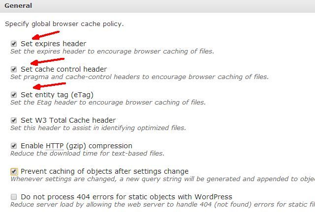 Параметры Browser Cache с рекомендуемыми опциями