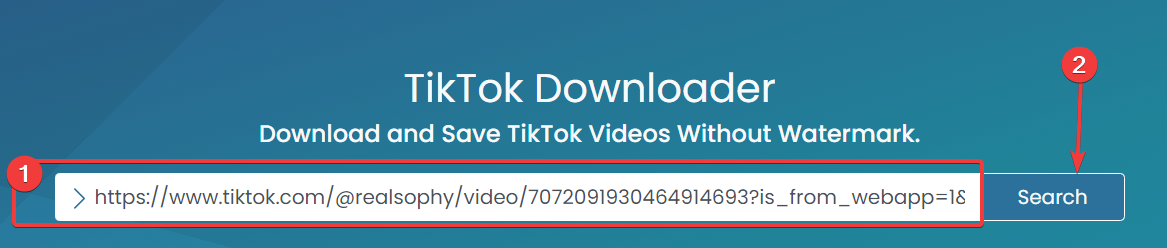 Вставка ссылки в поле на сайте savett для поиска видео