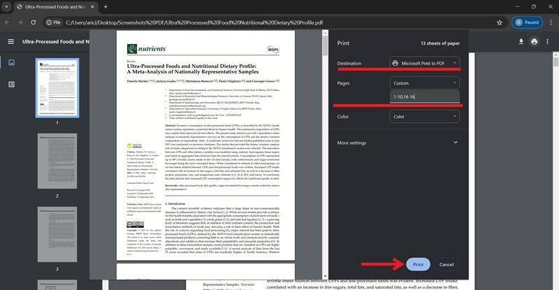 Выбор печати в PDF