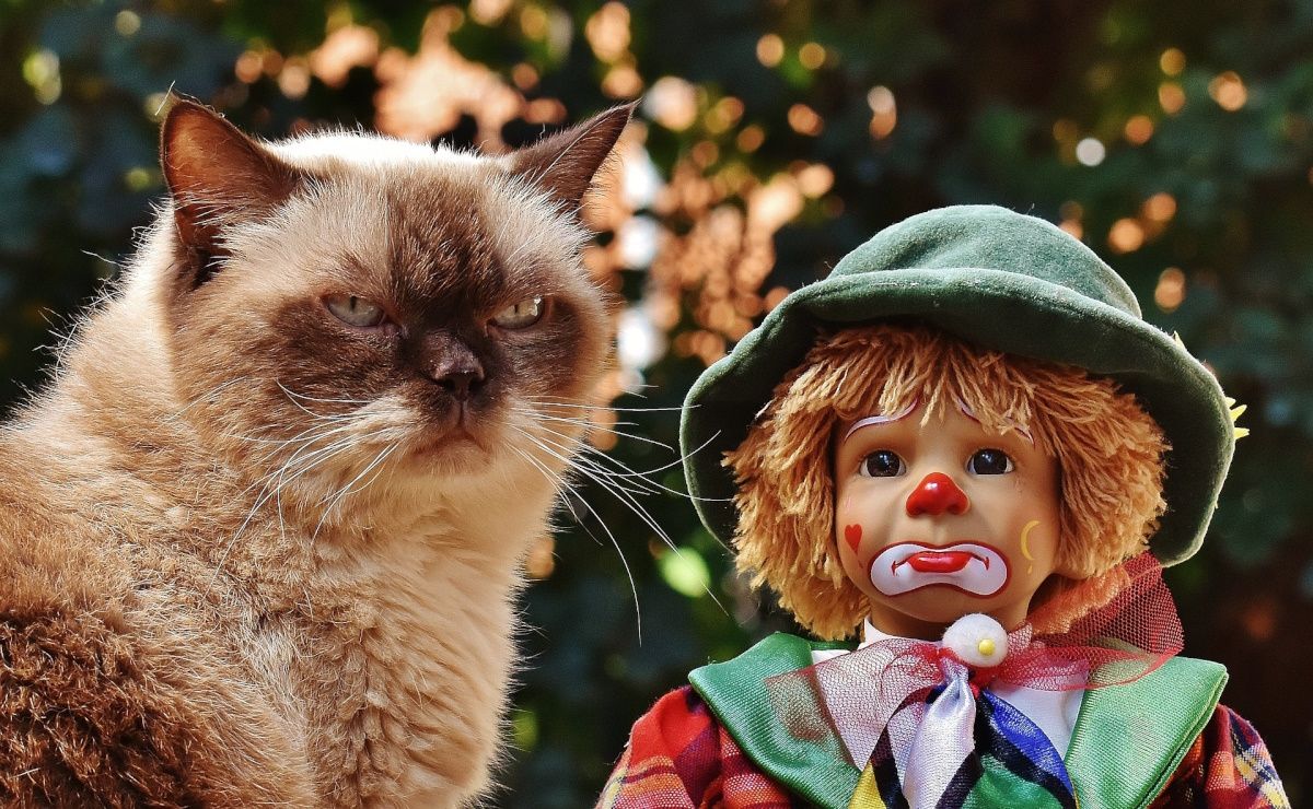 Грустный клоун-манекен с котом